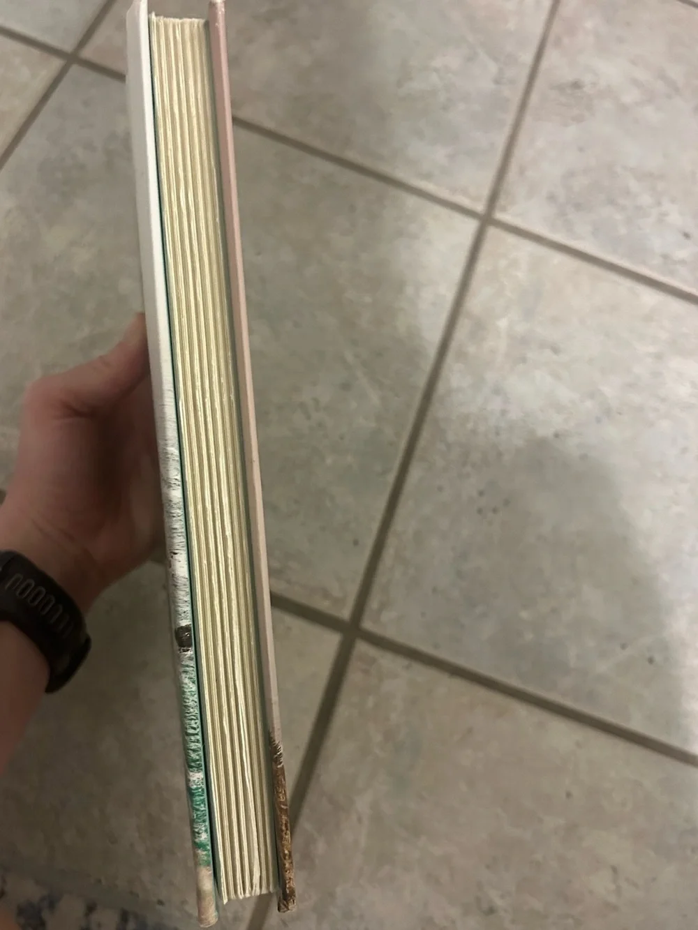 A Dangerous Business by - Hardcover Novel (Green, Black)